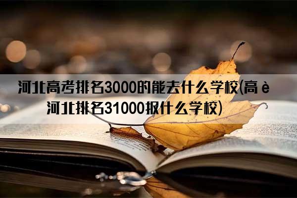 河北高考排名3000的能去什么学校(高考河北排名31000报什么学校)