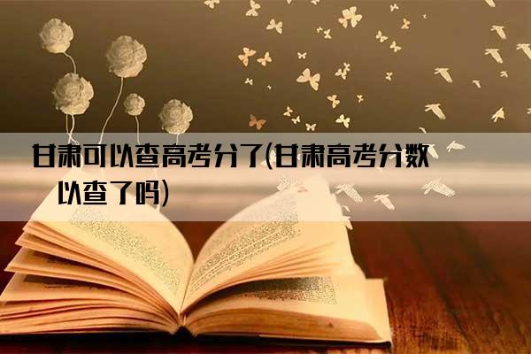 甘肃可以查高考分了(甘肃高考分数可以查了吗)