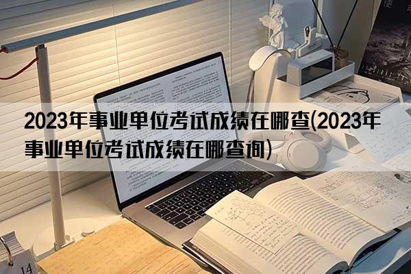 2023年事业单位考试成绩在哪查(2023年事业单位考试成绩在哪查询)